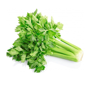 Celery