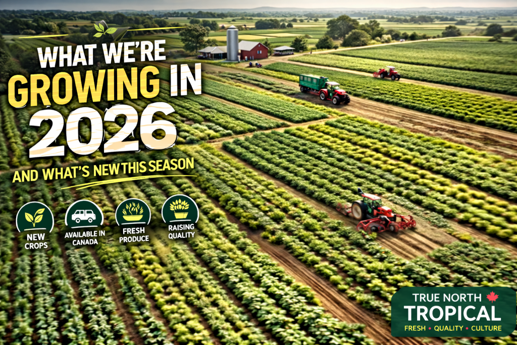 What We’re Growing in 2026 and What’s New This Season