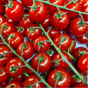 Cherry Tomato