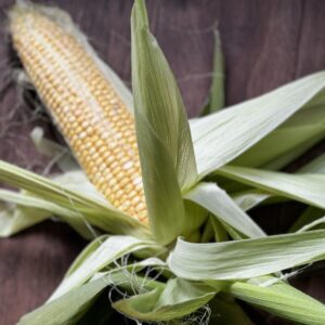 African Corn/Maize