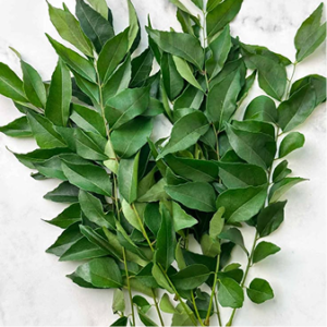 Curry leaves