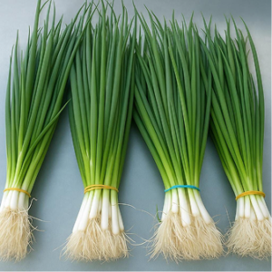 Green Onion
