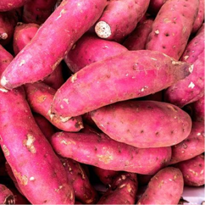 Japanese Purple Yam