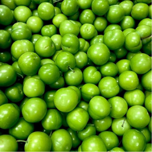 Tomatilio