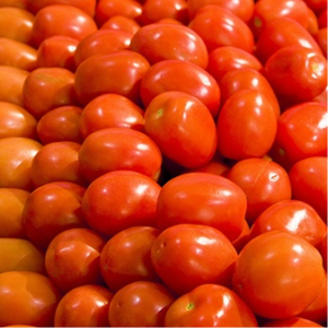 Tomato