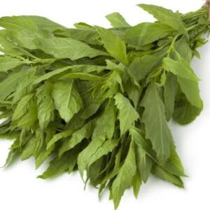 Epazote