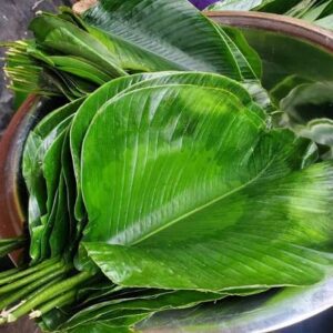 Moin Moin Leaf