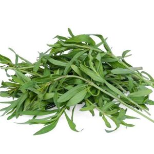 Tarragon