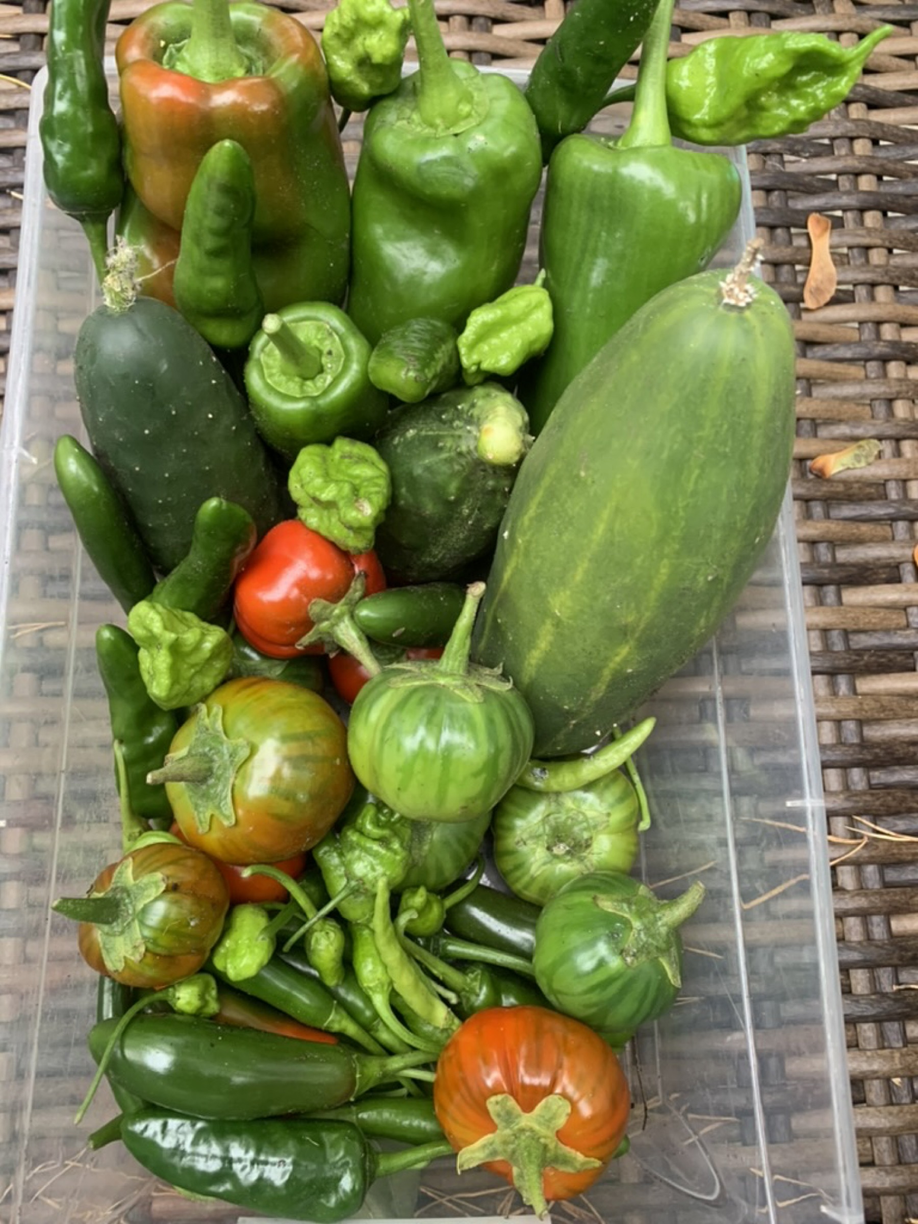 Farm Shares